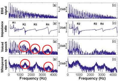 Diagram of Human Vocalization Spectra